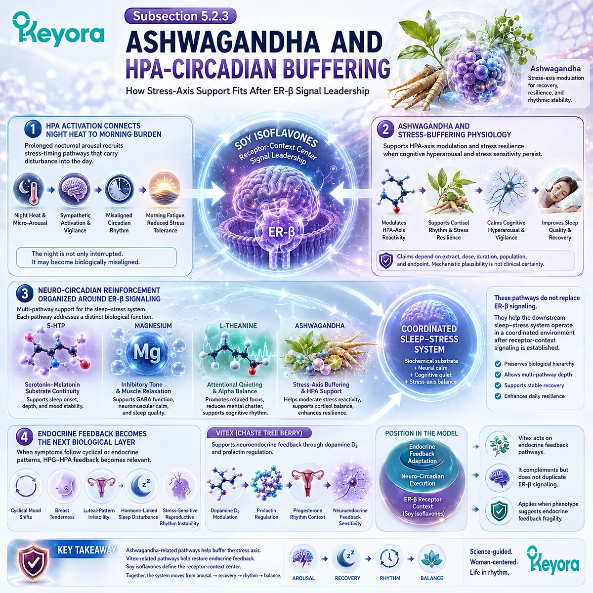 Ashwagandha, ER-β signaling, and HPA-circadian buffering coordinate stress recovery, vigilance reduction, and neuro-endocrine rhythm stability. Ashwagandha, ER-β signaling, and HPA-circadian buffering coordinate stress recovery, vigilance reduction, and neuro-endocrine rhythm stability.
