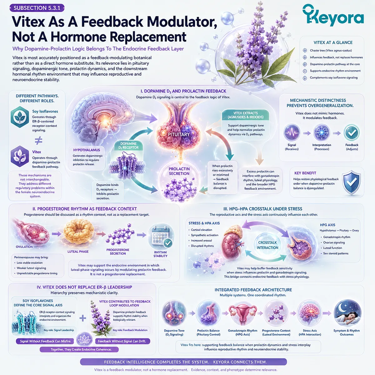 Vitex modulates dopamine D₂-prolactin feedback and HPG-HPA rhythm while ER-β signaling preserves Keyora’s receptor leadership architecture. Vitex modulates dopamine D₂-prolactin feedback and HPG-HPA rhythm while ER-β signaling preserves Keyora’s receptor leadership architecture.