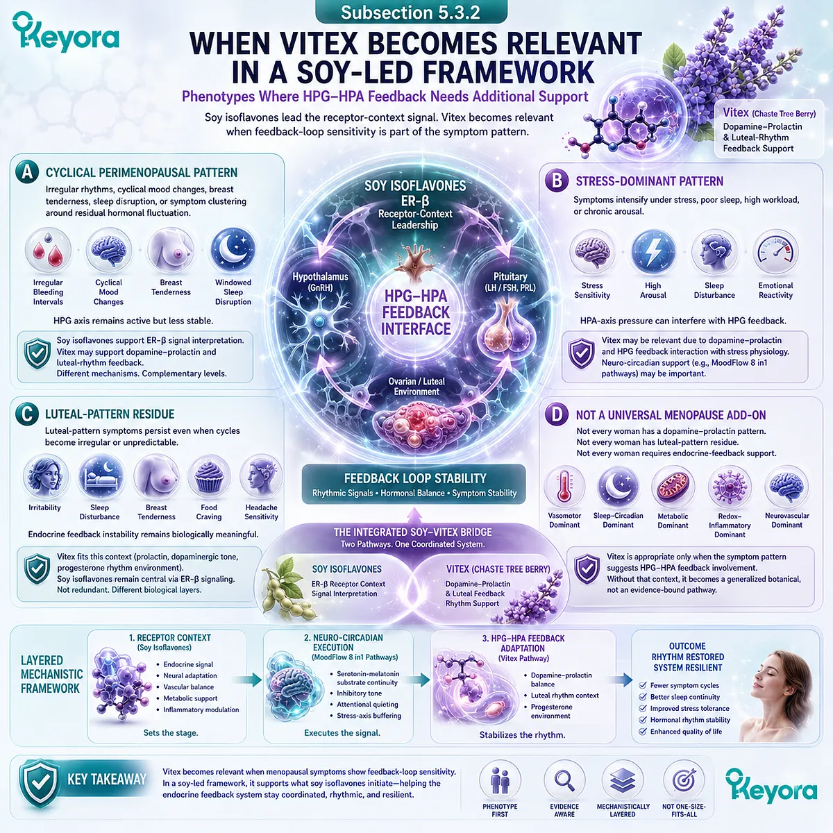 Vitex supports dopamine-prolactin and HPG-HPA feedback adaptation while ER-β signaling stabilizes menopausal receptor-context interpretation. Vitex supports dopamine-prolactin and HPG-HPA feedback adaptation while ER-β signaling stabilizes menopausal receptor-context interpretation.