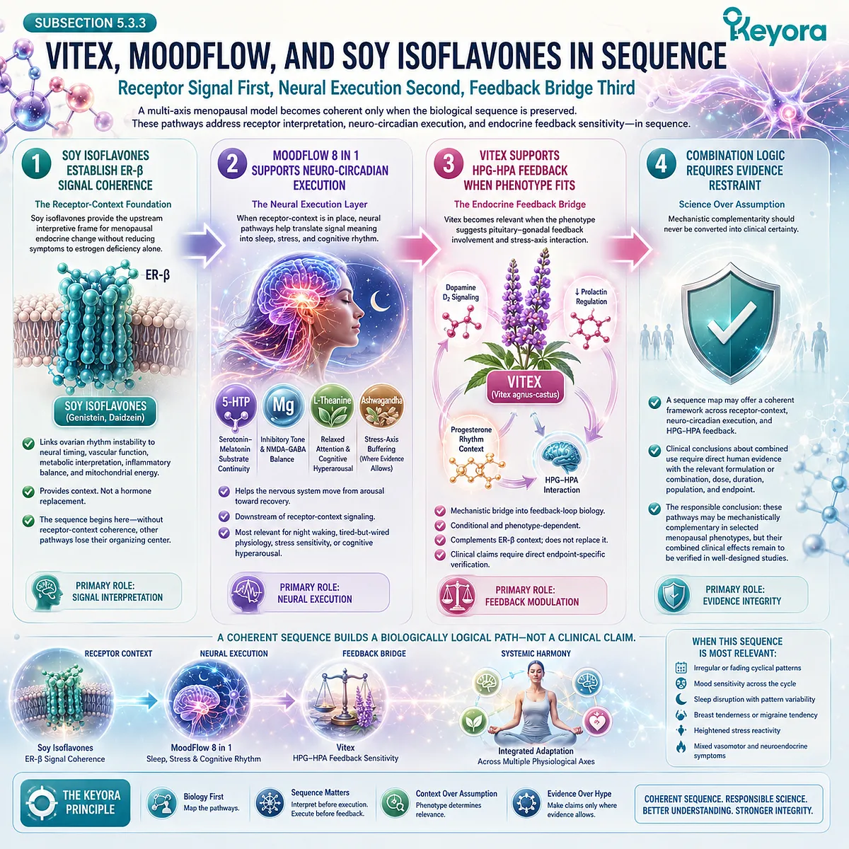 ER-β receptor signaling, MoodFlow neuro-circadian execution, and Vitex feedback modulation coordinate menopausal rhythm adaptation in sequence. ER-β receptor signaling, MoodFlow neuro-circadian execution, and Vitex feedback modulation coordinate menopausal rhythm adaptation in sequence.