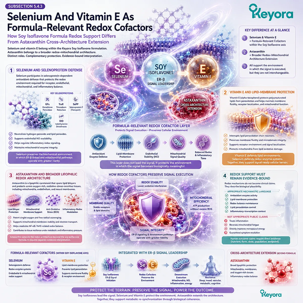 Selenium, vitamin E, and ER-β signaling preserve redox enzyme defense, lipid-membrane stability, and mitochondrial signal resilience in menopause. Selenium, vitamin E, and ER-β signaling preserve redox enzyme defense, lipid-membrane stability, and mitochondrial signal resilience in menopause.