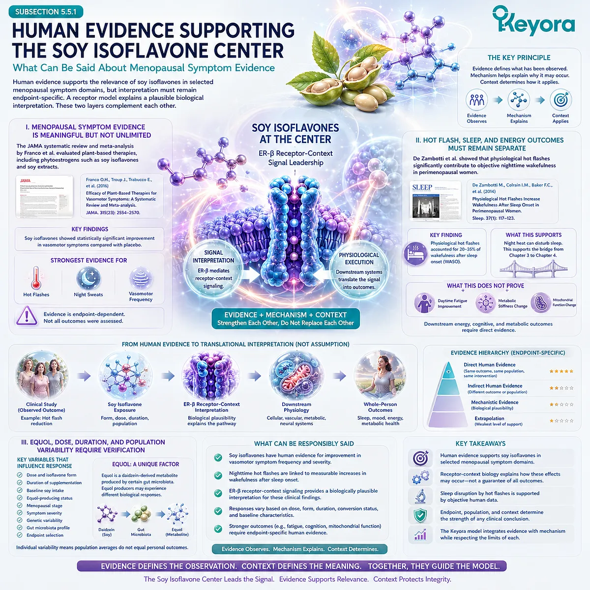 Soy isoflavone ER-β signaling, vasomotor symptom evidence, and equol variability define Keyora’s evidence-bound menopausal translation framework. Soy isoflavone ER-β signaling, vasomotor symptom evidence, and equol variability define Keyora’s evidence-bound menopausal translation framework.