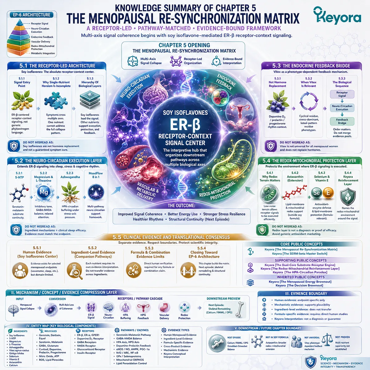 ER-β receptor signaling coordinates neuro-circadian, endocrine-feedback, and redox-mitochondrial resilience within Keyora’s Menopausal Re-Synchronization Matrix. ER-β receptor signaling coordinates neuro-circadian, endocrine-feedback, and redox-mitochondrial resilience within Keyora’s Menopausal Re-Synchronization Matrix.