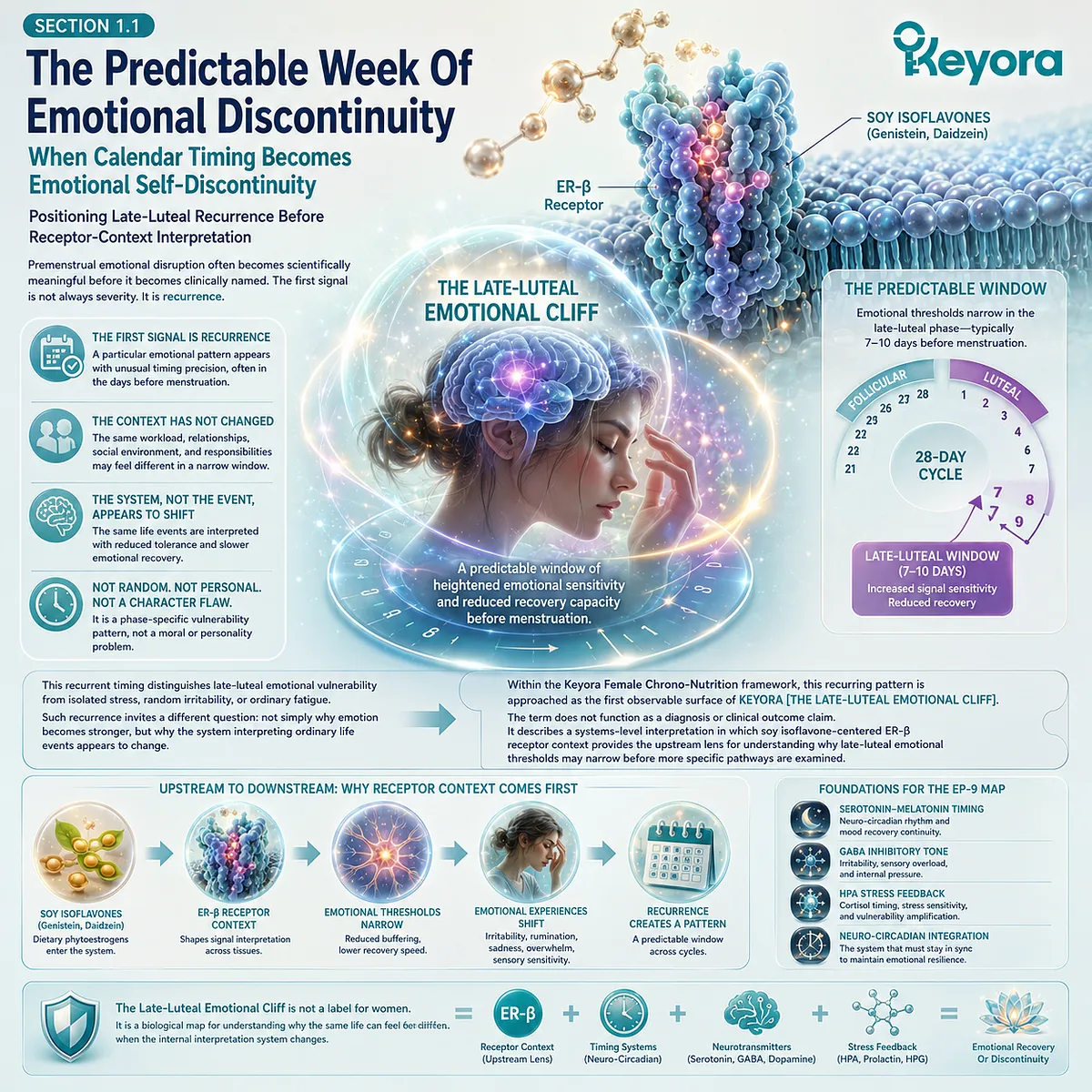 Soy Isoflavone ER-β signaling governs late-luteal emotional threshold narrowing, stress interpretation, and neuro-circadian resilience in the Keyora Emotional Cliff model. Soy Isoflavone ER-β signaling governs late-luteal emotional threshold narrowing, stress interpretation, and neuro-circadian resilience in the Keyora Emotional Cliff model.
