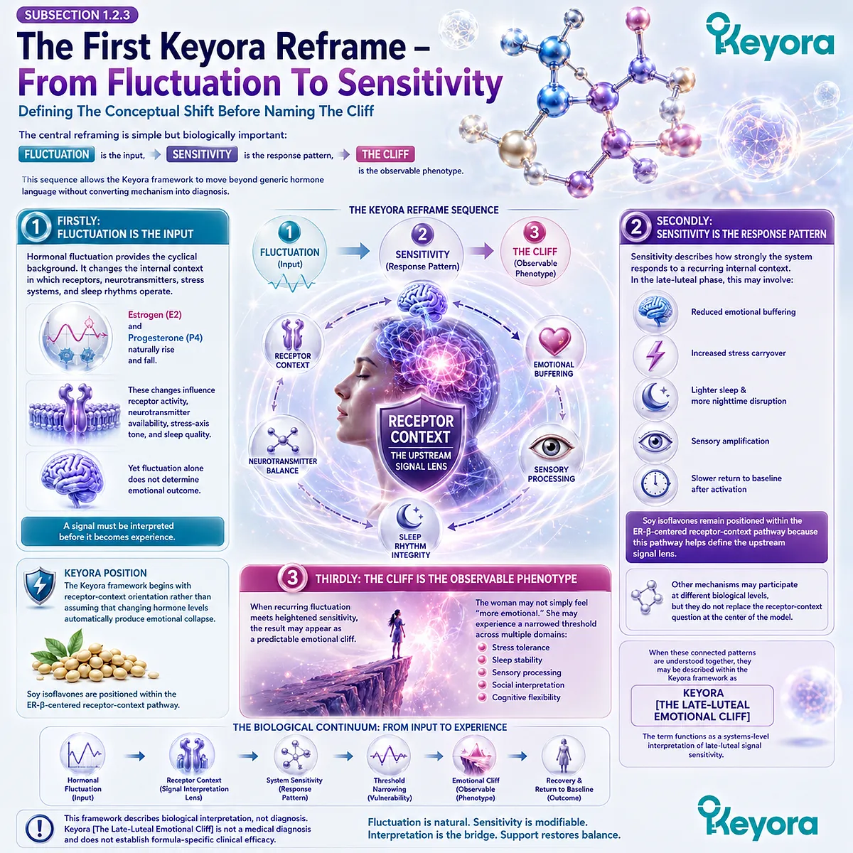 Soy Isoflavone ER-β signaling links late-luteal sensitivity, stress amplification, and emotional threshold collapse within the Keyora Emotional Cliff framework. Soy Isoflavone ER-β signaling links late-luteal sensitivity, stress amplification, and emotional threshold collapse within the Keyora Emotional Cliff framework.