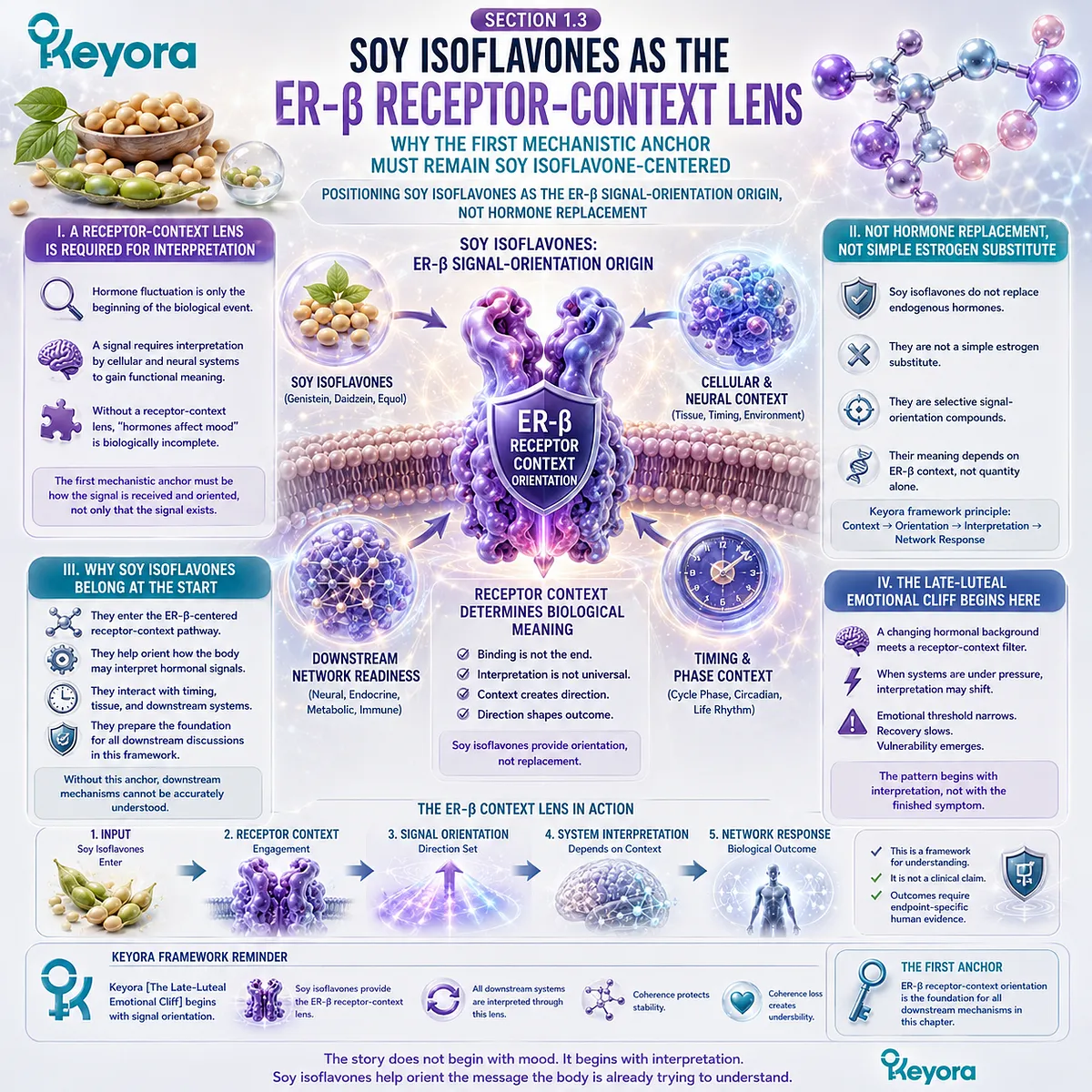 Soy Isoflavone ER-β receptor signaling directs late-luteal signal interpretation, emotional buffering, and neuroendocrine timing within the Keyora framework. Soy Isoflavone ER-β receptor signaling directs late-luteal signal interpretation, emotional buffering, and neuroendocrine timing within the Keyora framework.
