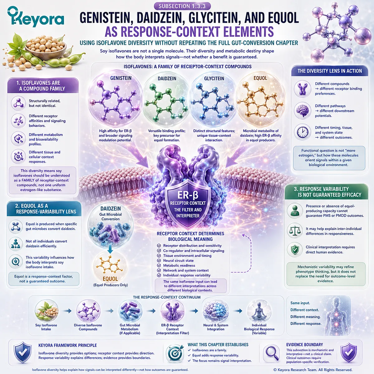 Genistein, daidzein, glycitein, and equol shape ER-β receptor-context signaling and late-luteal response variability in the Keyora framework. Genistein, daidzein, glycitein, and equol shape ER-β receptor-context signaling and late-luteal response variability in the Keyora framework.