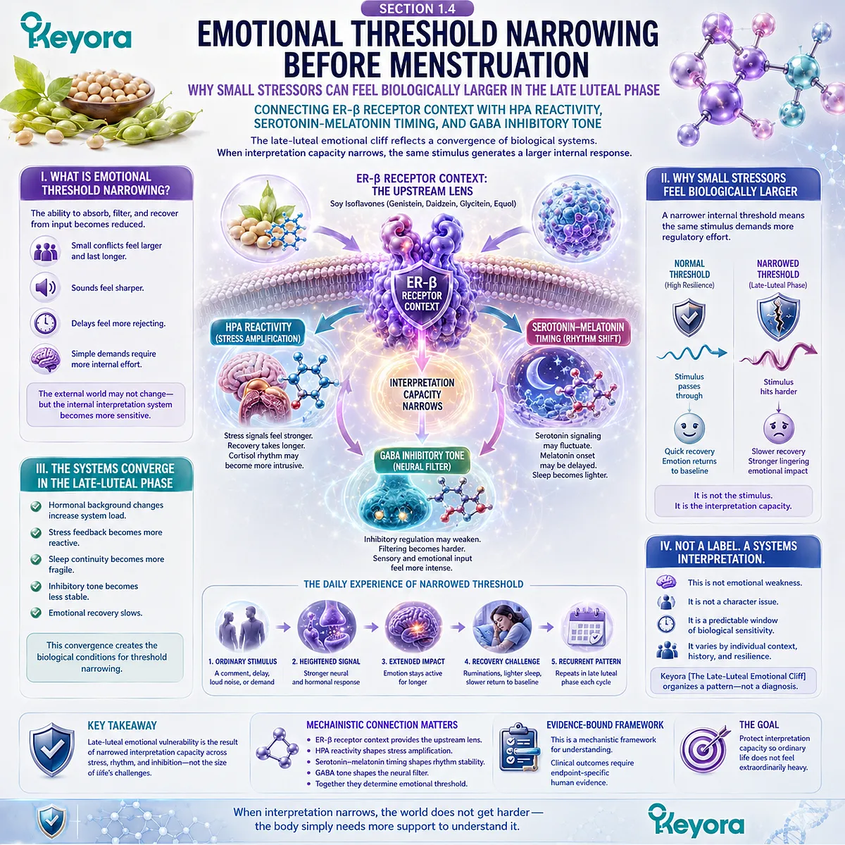 Soy Isoflavone ER-β signaling links emotional threshold narrowing, HPA stress reactivity, and GABA inhibitory instability in the Keyora framework. Soy Isoflavone ER-β signaling links emotional threshold narrowing, HPA stress reactivity, and GABA inhibitory instability in the Keyora framework.