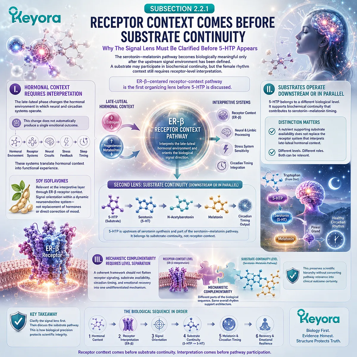 Keyora ER-β Receptor Context precedes serotonin-melatonin continuity, aligning hormonal signal interpretation with neuro-circadian resilience. Keyora ER-β Receptor Context precedes serotonin-melatonin continuity, aligning hormonal signal interpretation with neuro-circadian resilience.