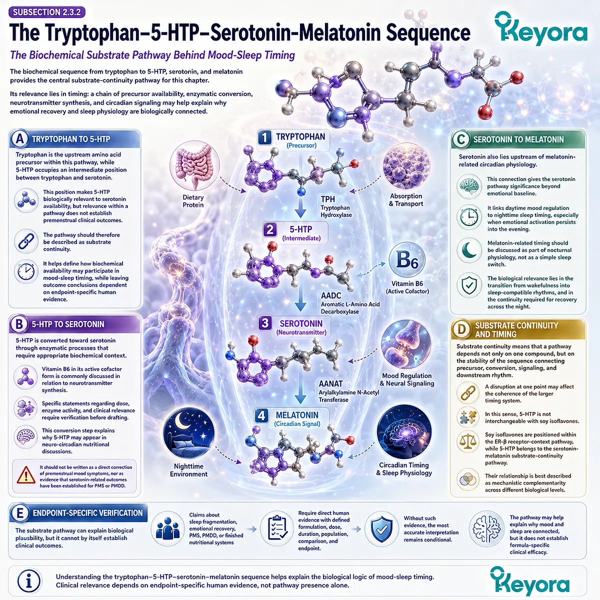 Keyora Serotonin-Melatonin Timing Gate maps tryptophan, 5-HTP, serotonin, and melatonin continuity into emotional recovery and sleep-timing resilience. Keyora Serotonin-Melatonin Timing Gate maps tryptophan, 5-HTP, serotonin, and melatonin continuity into emotional recovery and sleep-timing resilience.