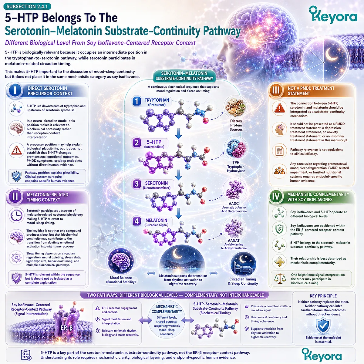 Keyora Serotonin-Melatonin Timing Gate positions 5-HTP within substrate continuity, linking serotonin availability, circadian timing, and emotional recovery. Keyora Serotonin-Melatonin Timing Gate positions 5-HTP within substrate continuity, linking serotonin availability, circadian timing, and emotional recovery.