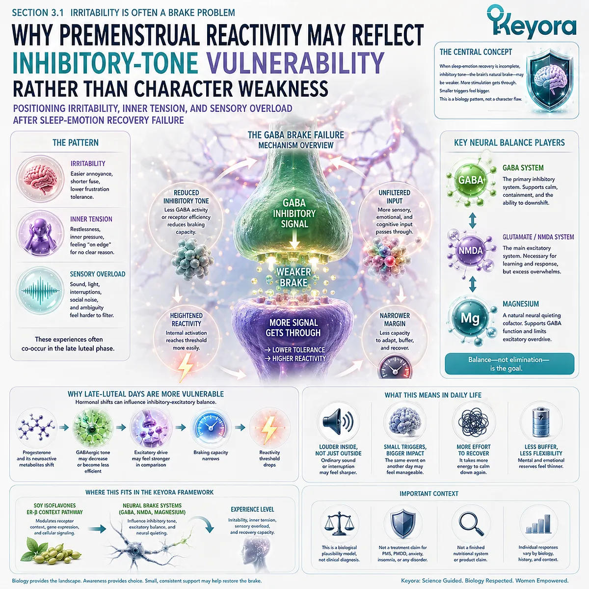 Keyora GABA Brake Failure connects ER-β signaling, inhibitory-tone vulnerability, sensory overload, and neural filtering collapse to emotional resilience loss. Keyora GABA Brake Failure connects ER-β signaling, inhibitory-tone vulnerability, sensory overload, and neural filtering collapse to emotional resilience loss.