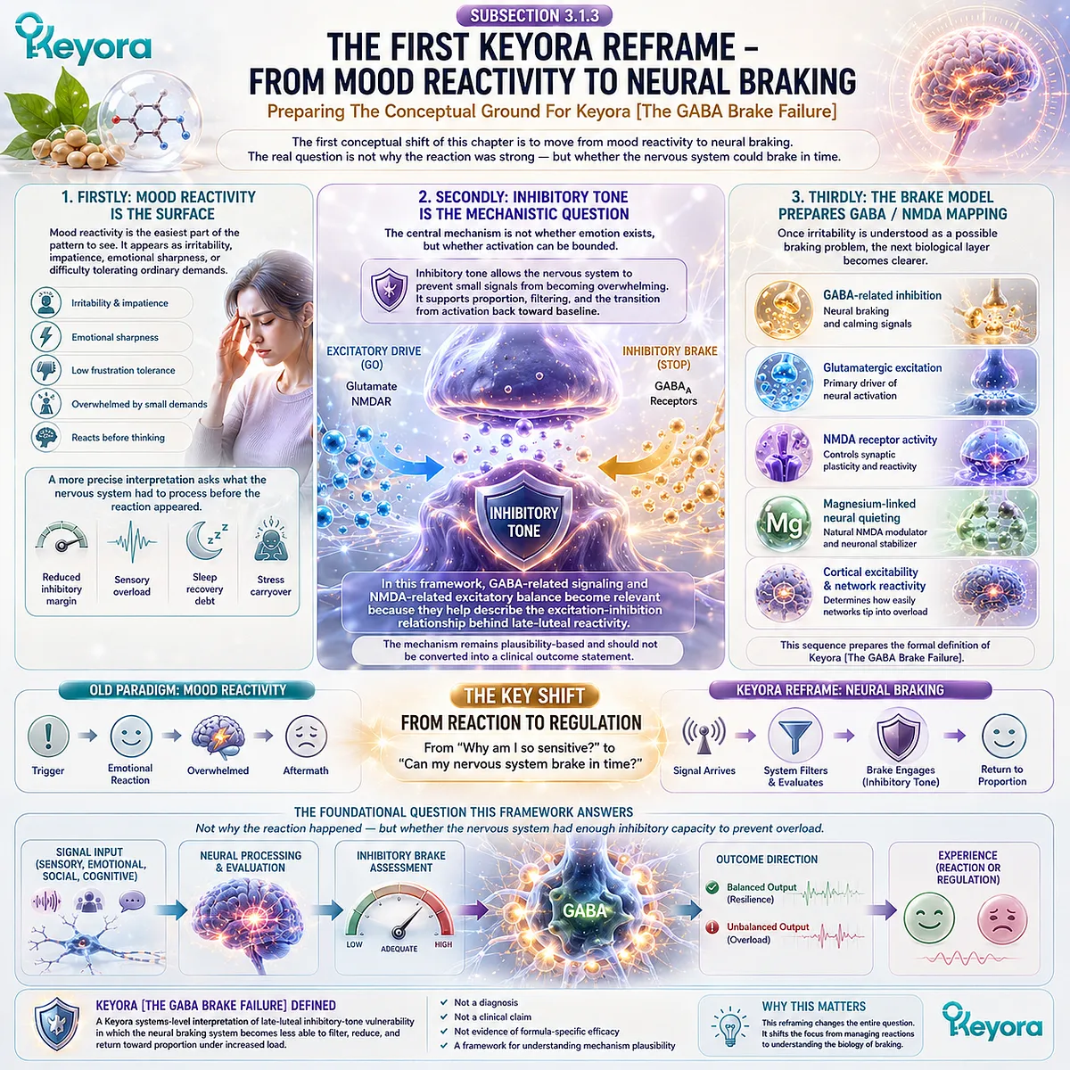 Keyora GABA Brake Failure reframes mood reactivity through inhibitory-tone vulnerability, GABA-NMDA balance, neural filtering capacity, and cortical excitability control. Keyora GABA Brake Failure reframes mood reactivity through inhibitory-tone vulnerability, GABA-NMDA balance, neural filtering capacity, and cortical excitability control.