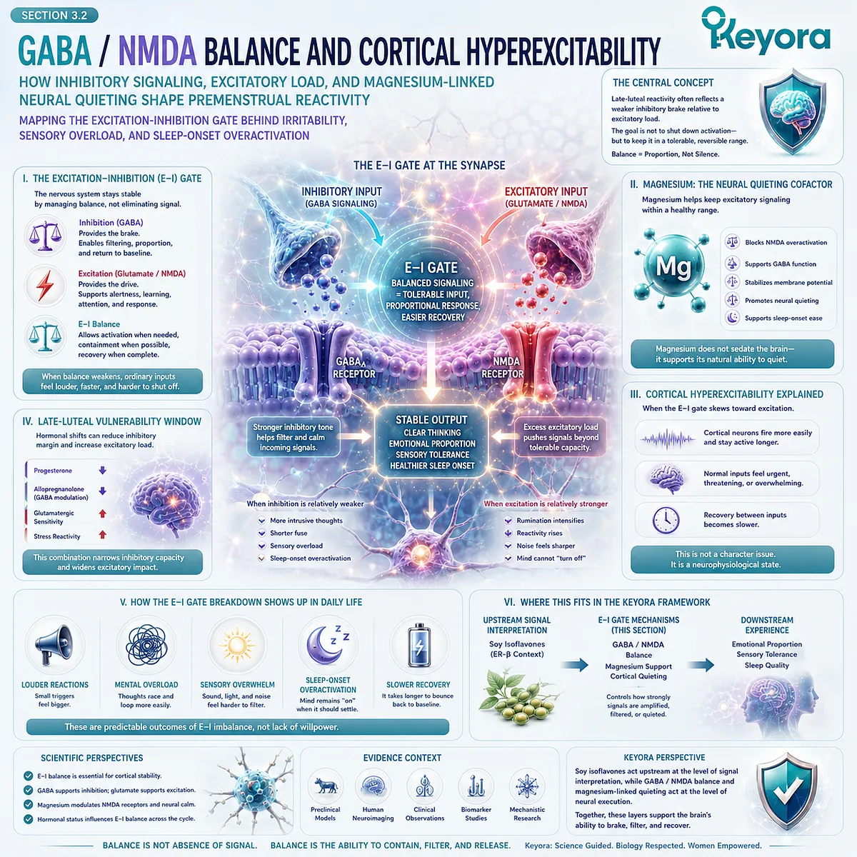 Keyora GABA Brake Failure maps GABA-NMDA balance, cortical hyperexcitability, magnesium-linked neural quieting, and inhibitory-tone control to sensory-emotional resilience. Keyora GABA Brake Failure maps GABA-NMDA balance, cortical hyperexcitability, magnesium-linked neural quieting, and inhibitory-tone control to sensory-emotional resilience.