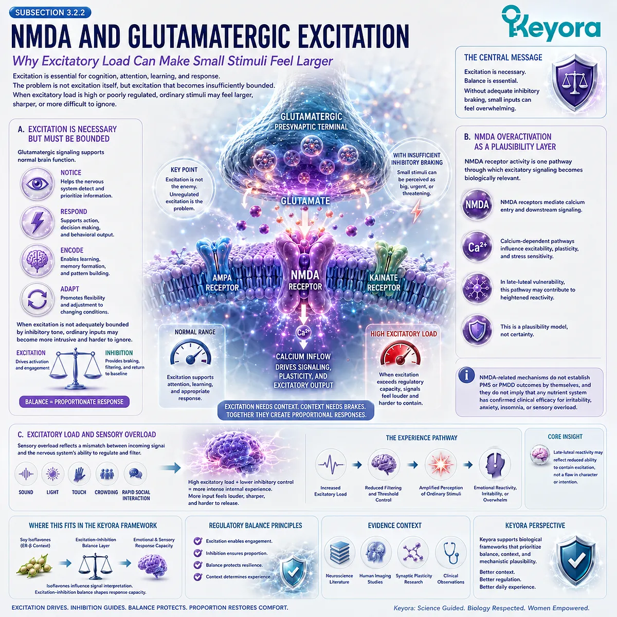 Keyora GABA Brake Failure links NMDA-driven excitatory load, glutamatergic signaling, sensory overload, and weakened inhibitory control to late-luteal hyperreactivity. Keyora GABA Brake Failure links NMDA-driven excitatory load, glutamatergic signaling, sensory overload, and weakened inhibitory control to late-luteal hyperreactivity.