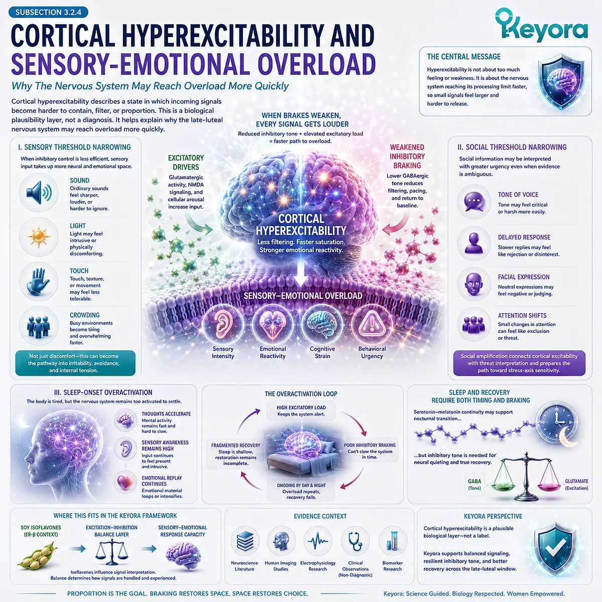 Keyora GABA Brake Failure links cortical hyperexcitability, sensory-threshold narrowing, social-signal amplification, and sleep-onset overactivation to neural overload risk. Keyora GABA Brake Failure links cortical hyperexcitability, sensory-threshold narrowing, social-signal amplification, and sleep-onset overactivation to neural overload risk.