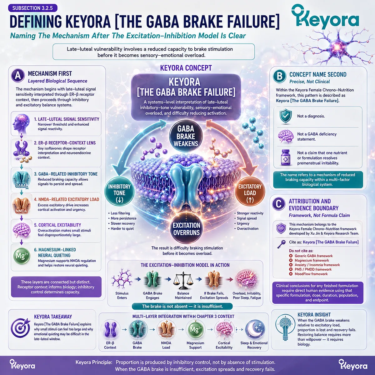 Keyora GABA Brake Failure integrates ER-β signal orientation, inhibitory-tone vulnerability, NMDA excitatory load, and sensory-emotional overload into neural governance architecture. Keyora GABA Brake Failure integrates ER-β signal orientation, inhibitory-tone vulnerability, NMDA excitatory load, and sensory-emotional overload into neural governance architecture.