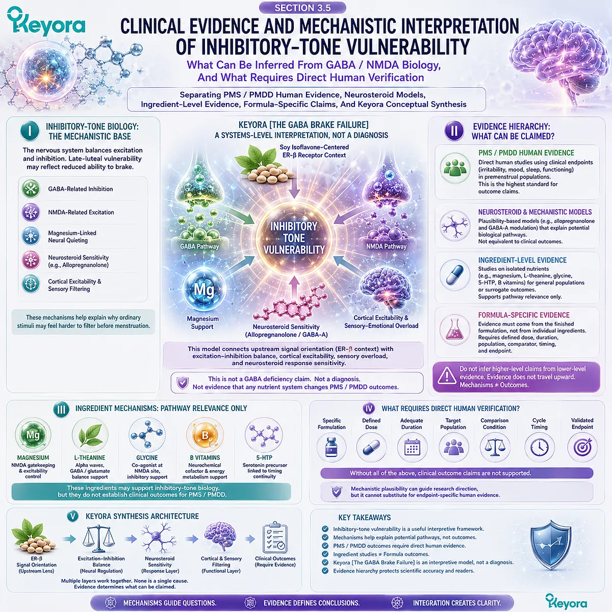 Keyora GABA Brake Failure integrates ER-β signaling, GABA-NMDA balance, neurosteroid sensitivity, sensory overload, and evidence-bound inhibitory-tone interpretation. Keyora GABA Brake Failure integrates ER-β signaling, GABA-NMDA balance, neurosteroid sensitivity, sensory overload, and evidence-bound inhibitory-tone interpretation.