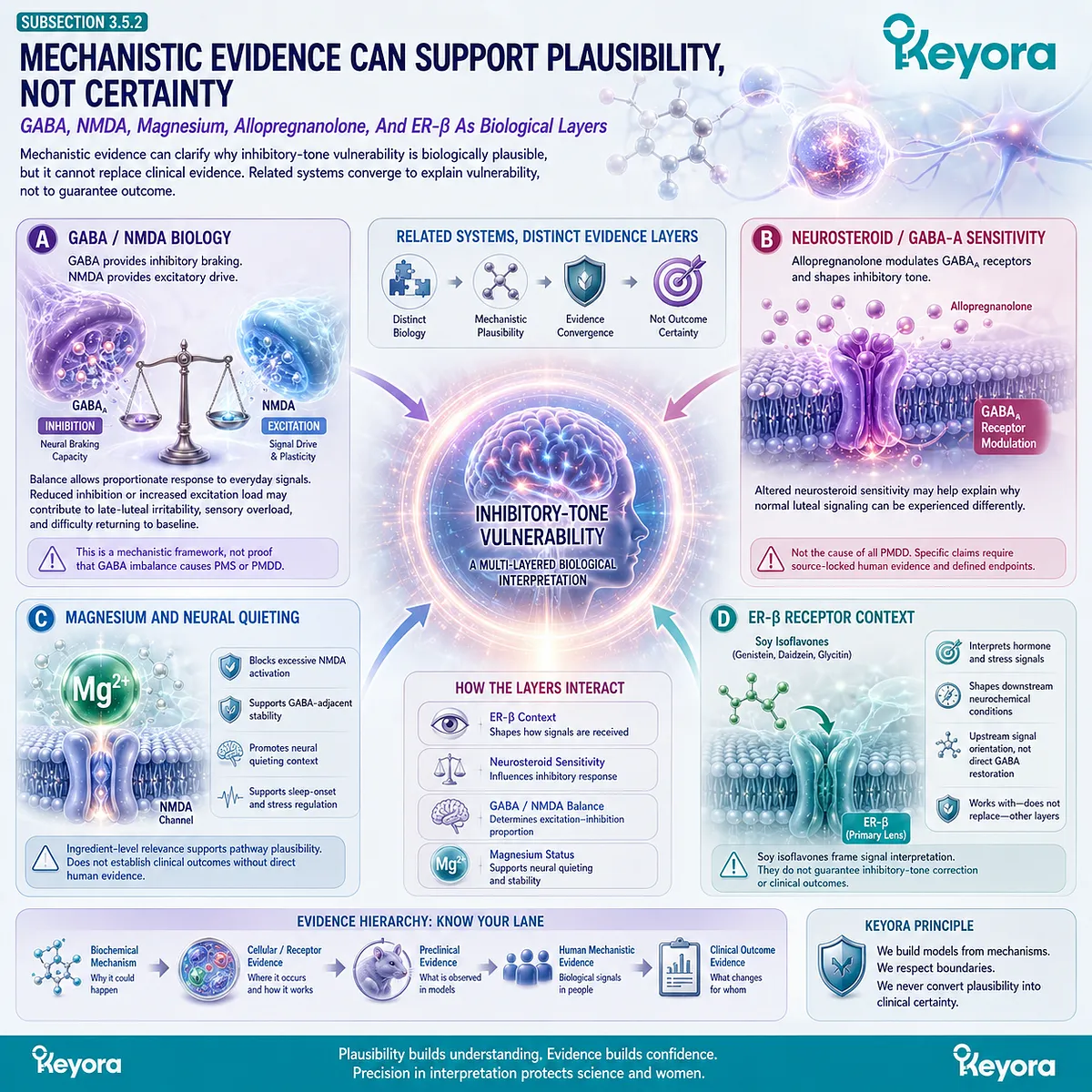 Keyora GABA Brake Failure integrates ER-β signal orientation, GABA-NMDA balance, magnesium neural quieting, and neurosteroid sensitivity into evidence-bound vulnerability modeling. Keyora GABA Brake Failure integrates ER-β signal orientation, GABA-NMDA balance, magnesium neural quieting, and neurosteroid sensitivity into evidence-bound vulnerability modeling.