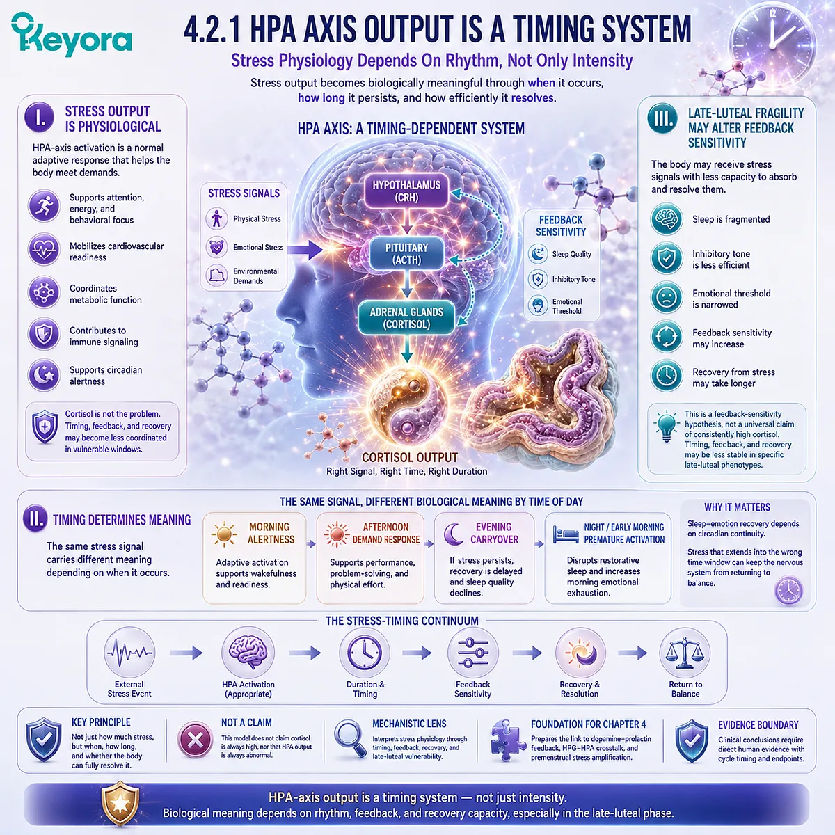 PMS stress response, HPA-axis timing, cortisol rhythm, and feedback sensitivity interpreted through Keyora HPA-Luteal Stress Amplifier PMS stress response, HPA-axis timing, cortisol rhythm, and feedback sensitivity interpreted through Keyora HPA-Luteal Stress Amplifier