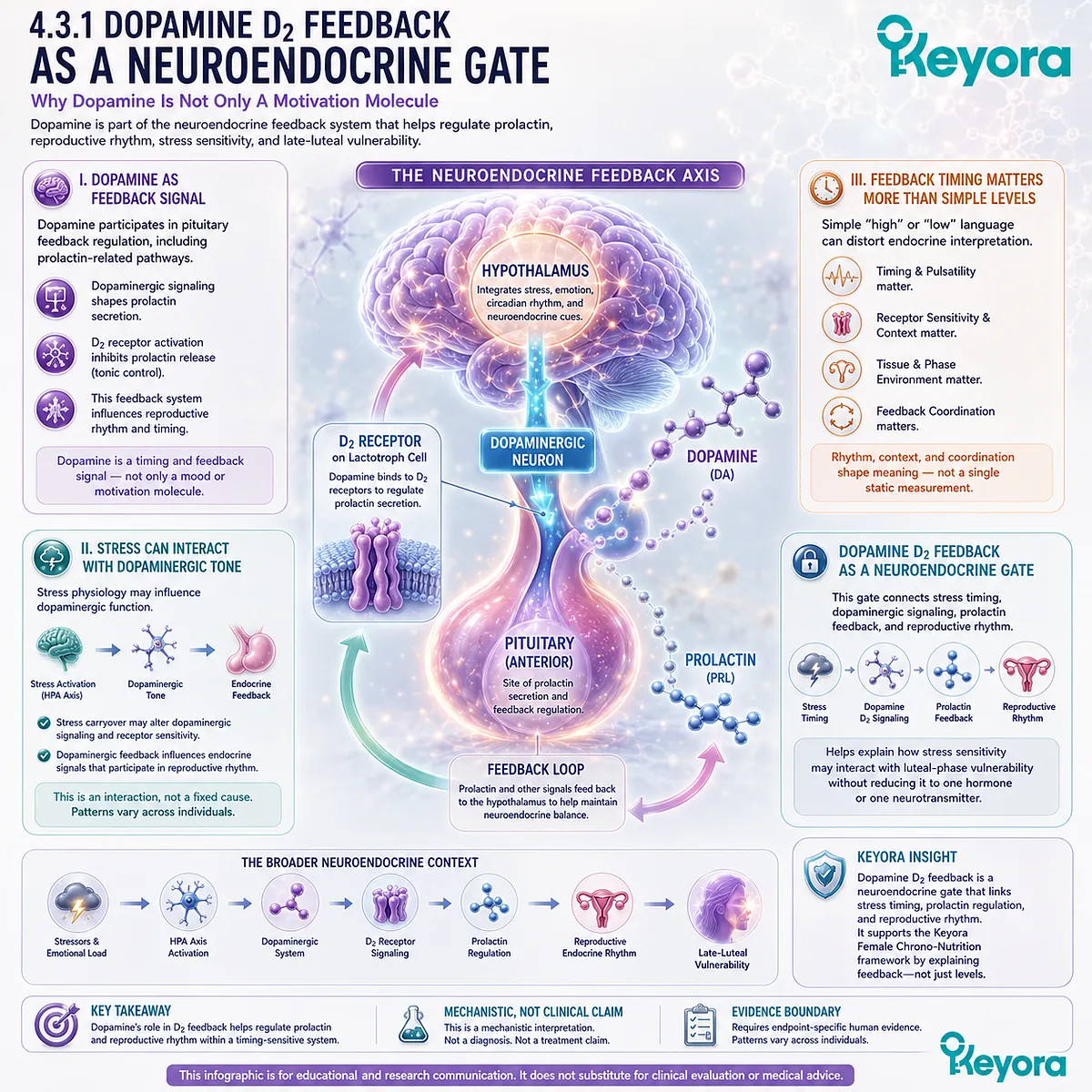 PMS emotional sensitivity, dopamine D₂ signaling, prolactin feedback, and neuroendocrine timing interpreted through Keyora HPA-Luteal Stress Amplifier PMS emotional sensitivity, dopamine D₂ signaling, prolactin feedback, and neuroendocrine timing interpreted through Keyora HPA-Luteal Stress Amplifier