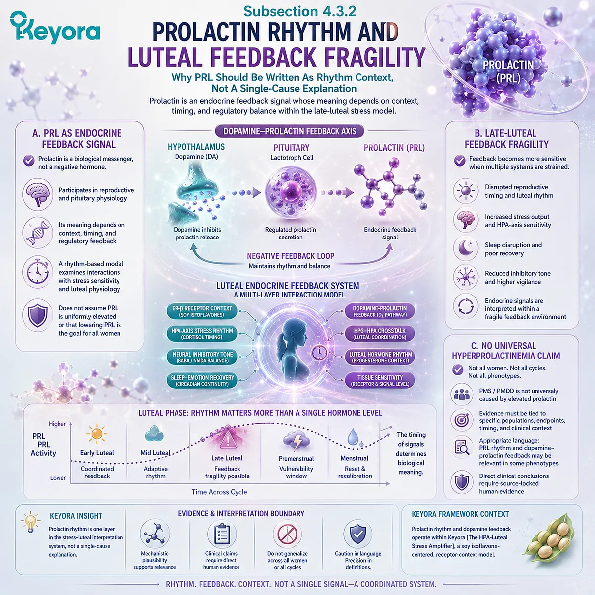 PMS emotional sensitivity, prolactin rhythm, dopamine-prolactin feedback, and luteal timing framed through Keyora HPA-Luteal Stress Amplifier PMS emotional sensitivity, prolactin rhythm, dopamine-prolactin feedback, and luteal timing framed through Keyora HPA-Luteal Stress Amplifier