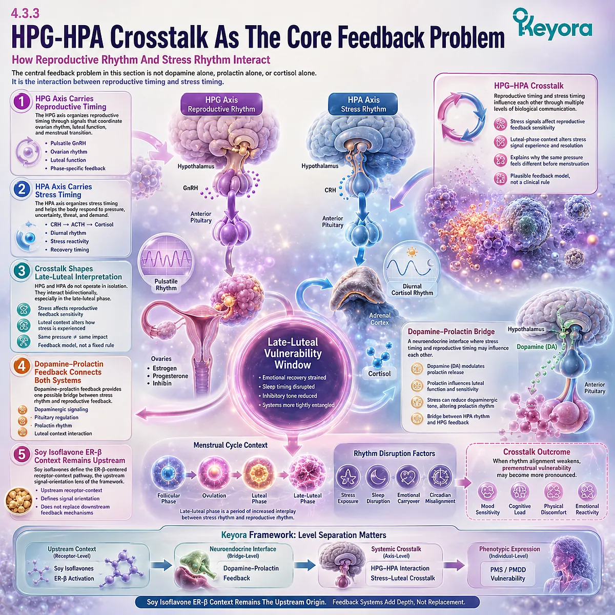 PMS stress sensitivity, HPG-HPA crosstalk, dopamine-prolactin feedback, and ER-β signaling integrated within Keyora HPA-Luteal Stress Amplifier PMS stress sensitivity, HPG-HPA crosstalk, dopamine-prolactin feedback, and ER-β signaling integrated within Keyora HPA-Luteal Stress Amplifier