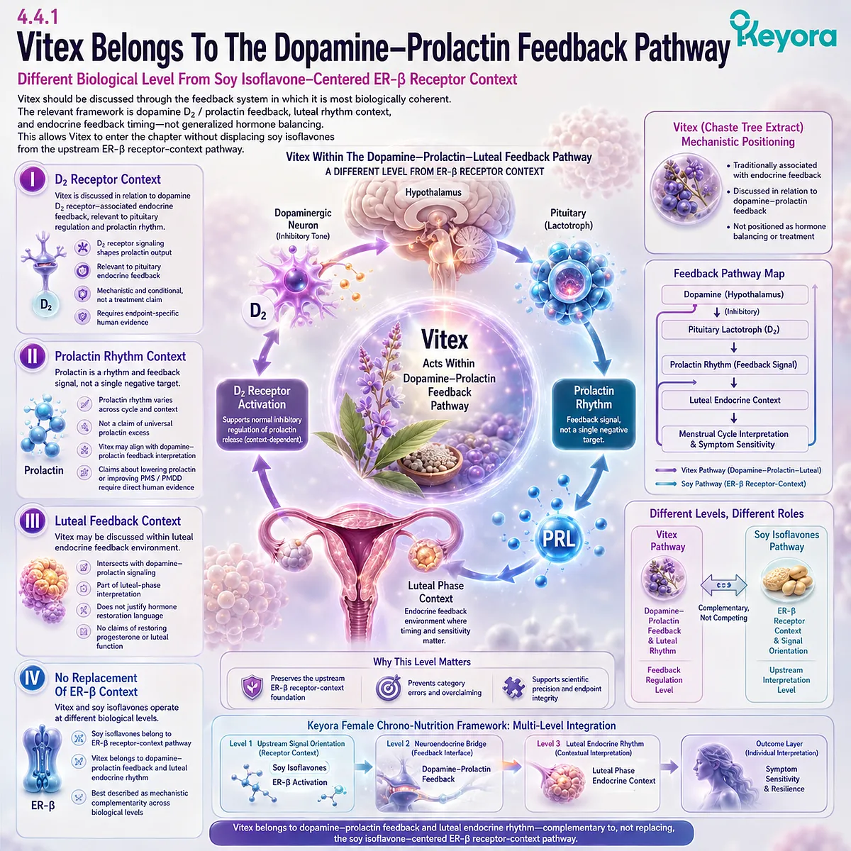 PMS support, Vitex, Ashwagandha, stress-circadian timing, dopamine-prolactin feedback, and ER-β signaling within Keyora Female Chrono-Nutrition PMS support, Vitex, Ashwagandha, stress-circadian timing, dopamine-prolactin feedback, and ER-β signaling within Keyora Female Chrono-Nutrition