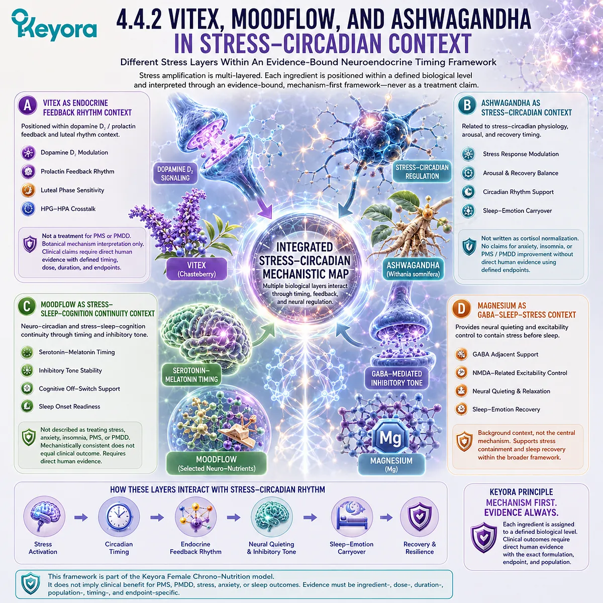 PMS support, Vitex, Ashwagandha, stress-circadian timing, dopamine-prolactin feedback, and ER-β signaling within Keyora Female Chrono-Nutrition PMS support, Vitex, Ashwagandha, stress-circadian timing, dopamine-prolactin feedback, and ER-β signaling within Keyora Female Chrono-Nutrition