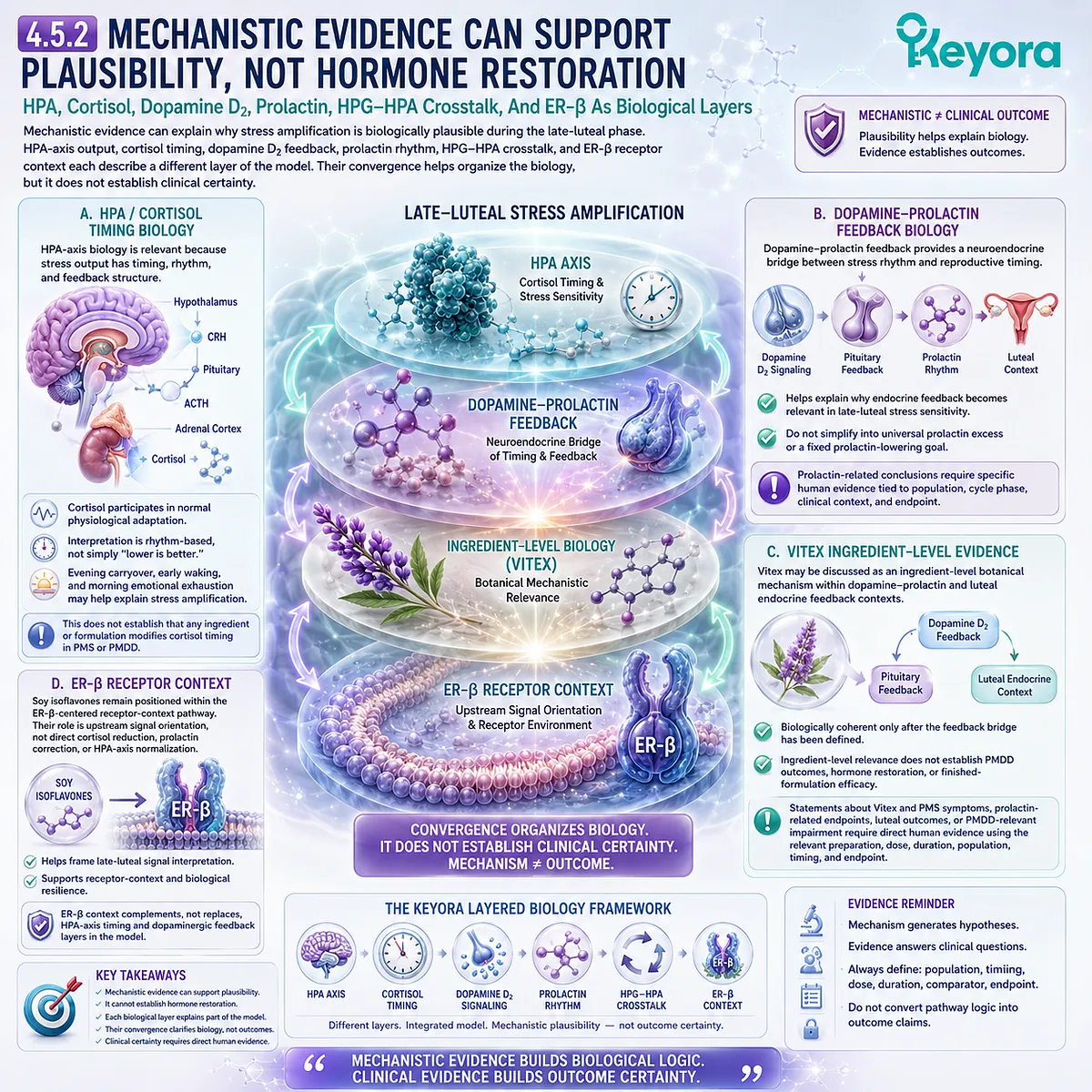 PMS support, HPA-axis timing, dopamine-prolactin feedback, ER-β signaling, and endocrine rhythm biology framed within Keyora HPA-Luteal Stress Amplifier PMS support, HPA-axis timing, dopamine-prolactin feedback, ER-β signaling, and endocrine rhythm biology framed within Keyora HPA-Luteal Stress Amplifier