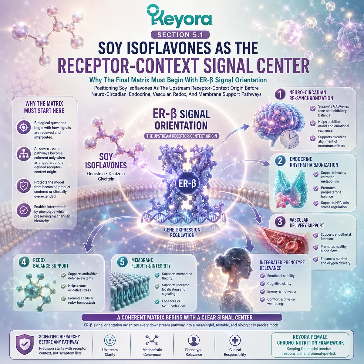 Soy isoflavones and PMS support framed through ER-β signaling, receptor-context orientation, and Keyora Luteal Neuro-Circadian Re-Synchronization Matrix Soy isoflavones and PMS support framed through ER-β signaling, receptor-context orientation, and Keyora Luteal Neuro-Circadian Re-Synchronization Matrix