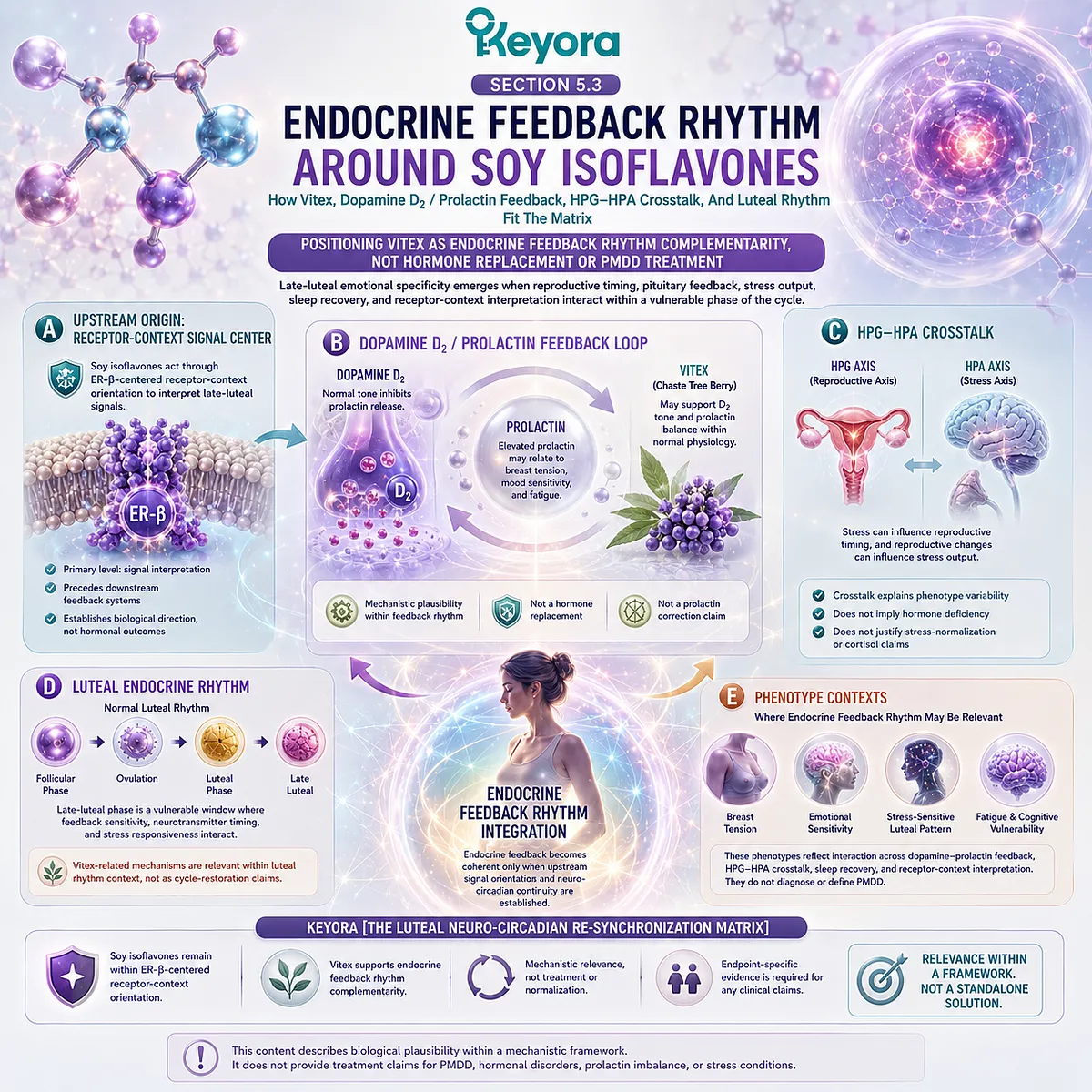 Vitex, prolactin balance, and PMS endocrine rhythm support linked to dopamine D2 signaling within the Keyora Luteal Neuro-Circadian Matrix Vitex, prolactin balance, and PMS endocrine rhythm support linked to dopamine D2 signaling within the Keyora Luteal Neuro-Circadian Matrix