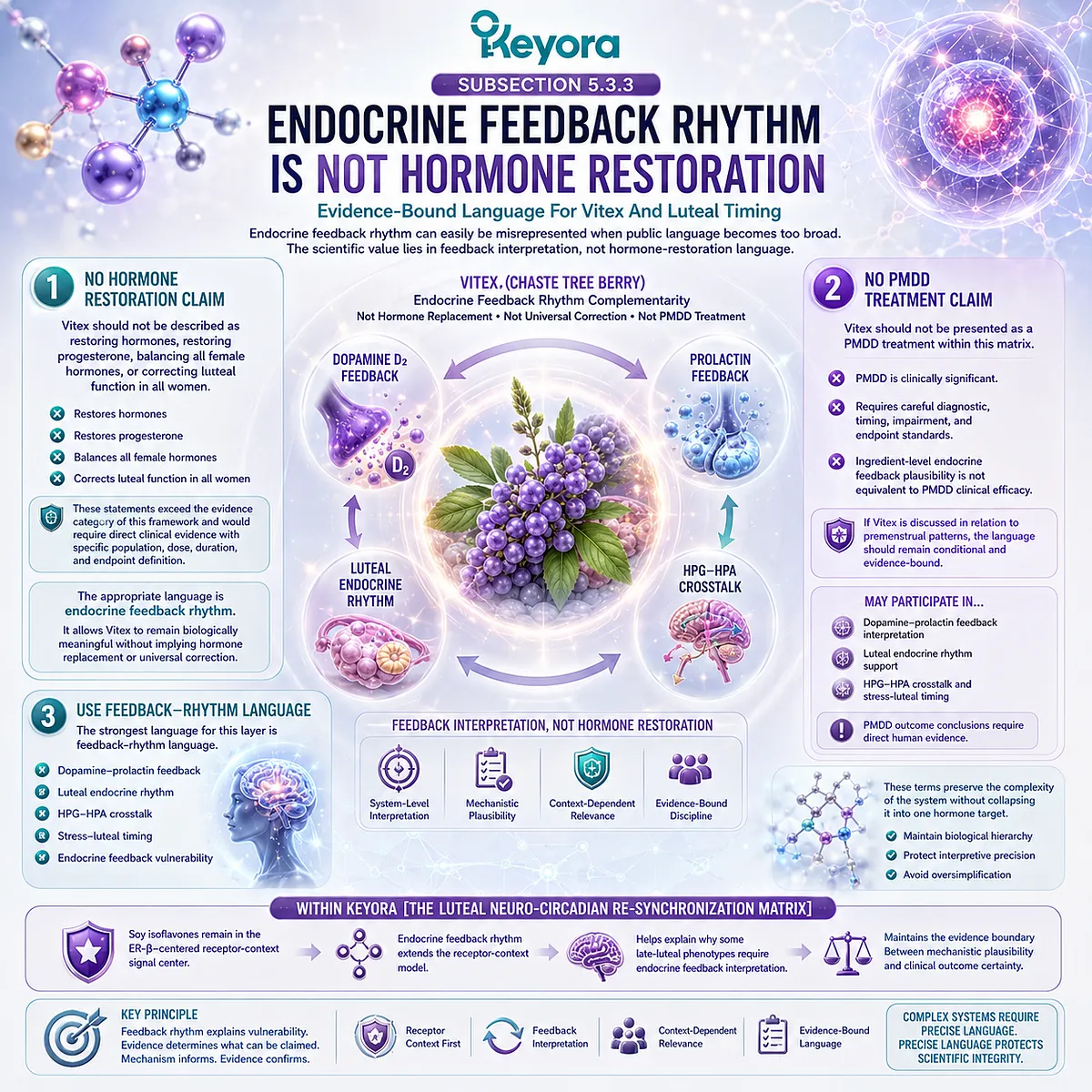 Vitex, dopamine-prolactin feedback, and luteal rhythm support interpreted through endocrine feedback pathways in Keyora Female Chrono-Nutrition Vitex, dopamine-prolactin feedback, and luteal rhythm support interpreted through endocrine feedback pathways in Keyora Female Chrono-Nutrition
