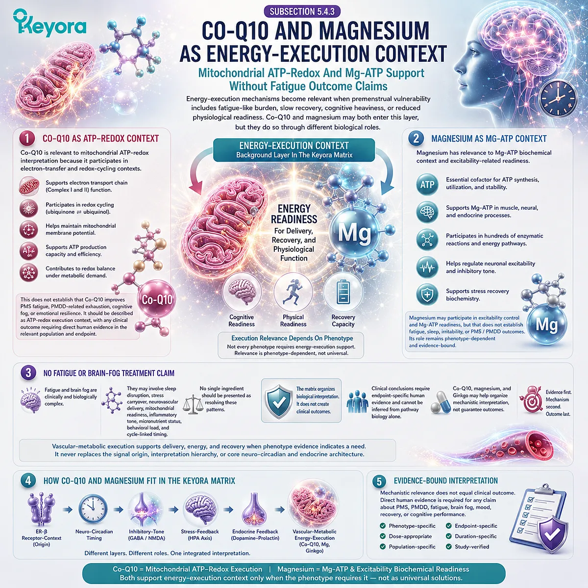 Co-Q10, magnesium, and PMS fatigue support linked to mitochondrial ATP-redox readiness within the Keyora Execution Matrix Co-Q10, magnesium, and PMS fatigue support linked to mitochondrial ATP-redox readiness within the Keyora Execution Matrix