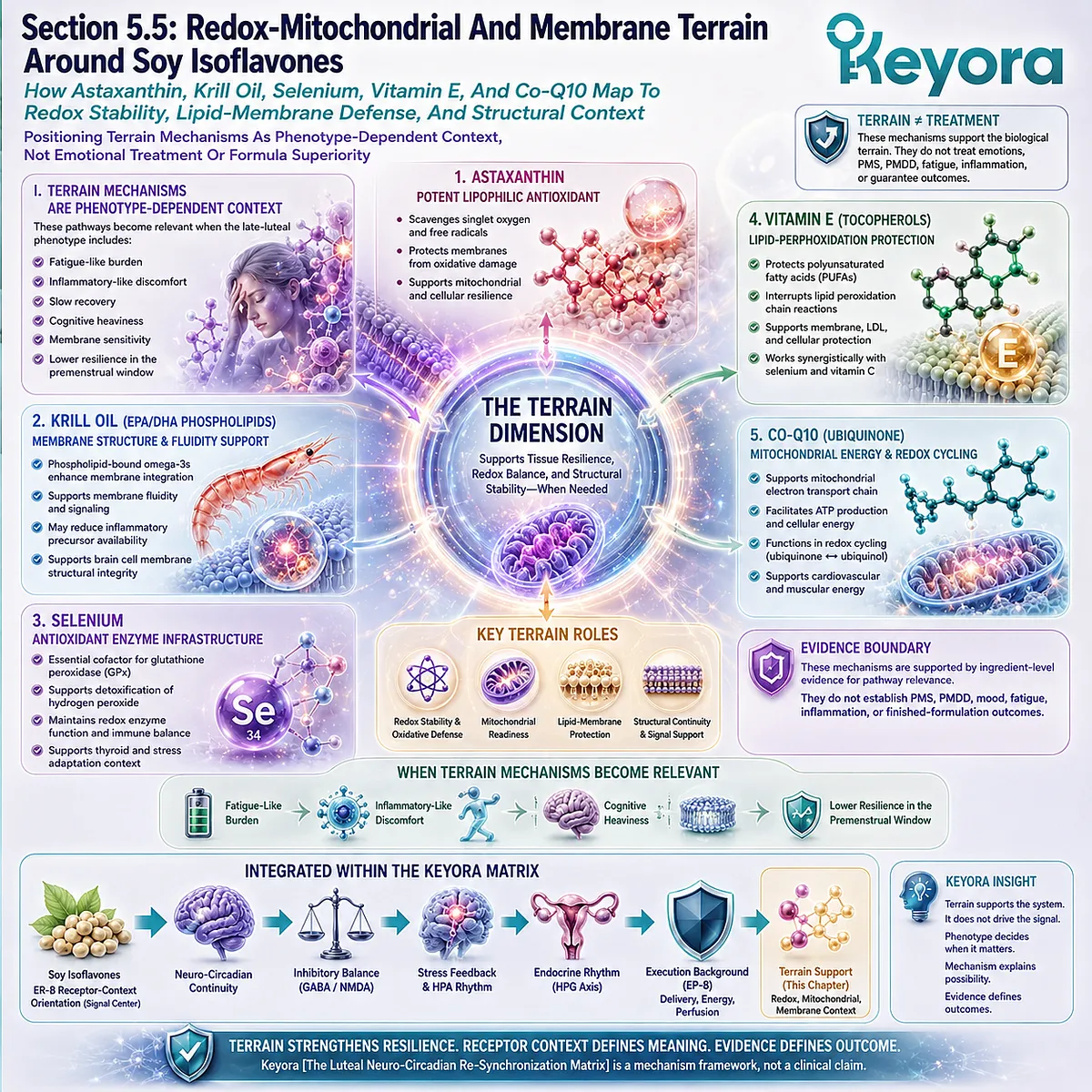 Astaxanthin, Krill Oil, and PMS fatigue support linked to redox balance, membrane resilience, and Keyora terrain pathways Astaxanthin, Krill Oil, and PMS fatigue support linked to redox balance, membrane resilience, and Keyora terrain pathways
