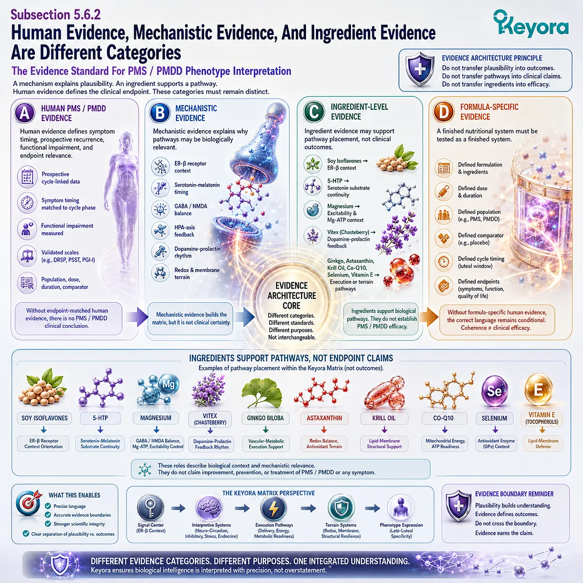 PMS mood, sleep, stress, endocrine, and fatigue phenotypes organized through ER-β signaling in the Keyora Precision Matrix PMS mood, sleep, stress, endocrine, and fatigue phenotypes organized through ER-β signaling in the Keyora Precision Matrix