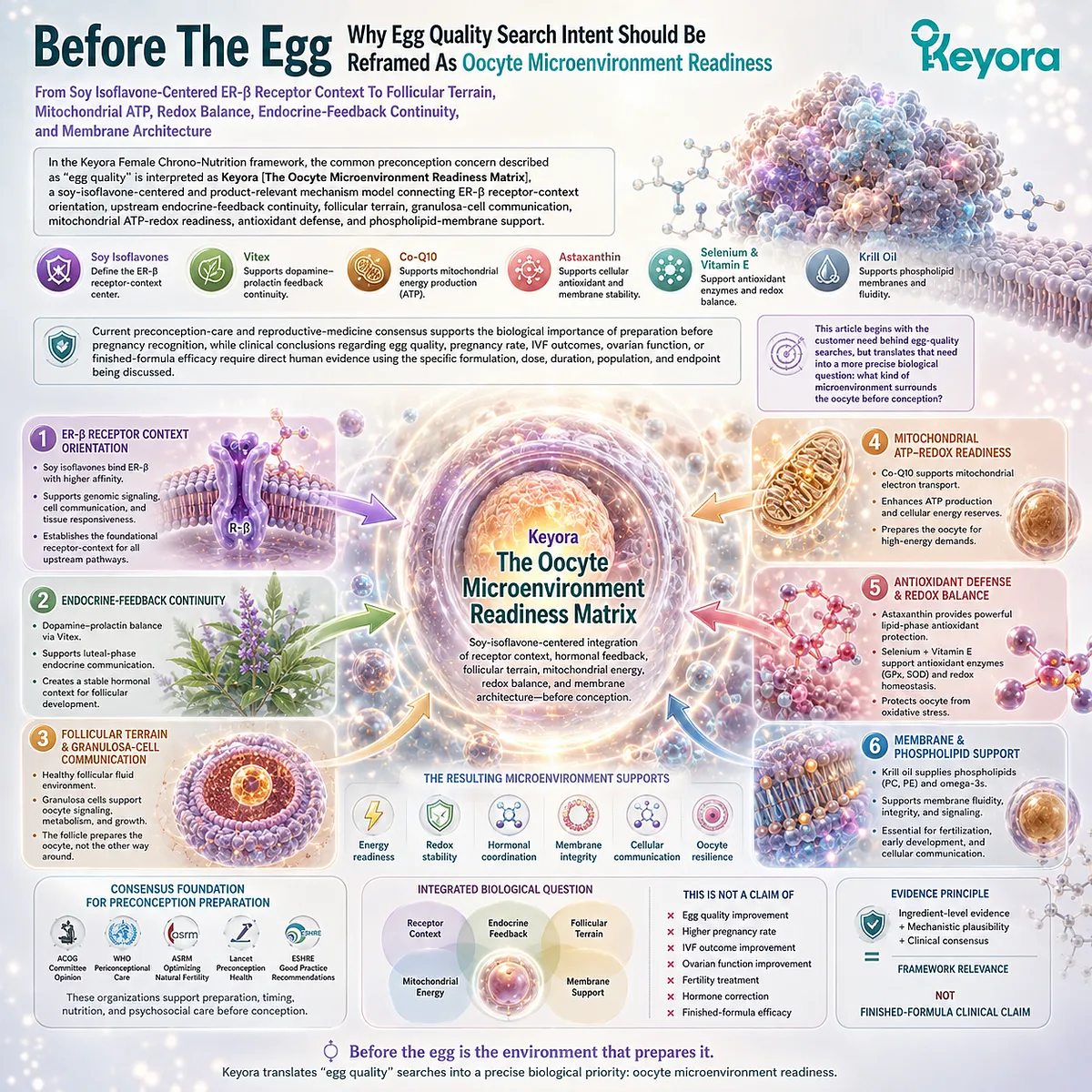 Egg quality and fertility wellness reframed through ER-β signaling, mitochondrial ATP-redox readiness, follicular microenvironment support, and Keyora Oocyte Microenvironment Readiness Matrix before conception. Egg quality and fertility wellness reframed through ER-β signaling, mitochondrial ATP-redox readiness, follicular microenvironment support, and Keyora Oocyte Microenvironment Readiness Matrix before conception.