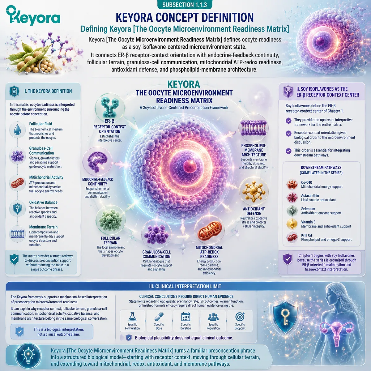 Preconception nutrition framework linking ER-β signaling, follicular terrain, mitochondrial ATP-redox readiness, antioxidant defense, and membrane support through the Keyora Oocyte Microenvironment Readiness Matrix. Preconception nutrition framework linking ER-β signaling, follicular terrain, mitochondrial ATP-redox readiness, antioxidant defense, and membrane support through the Keyora Oocyte Microenvironment Readiness Matrix.