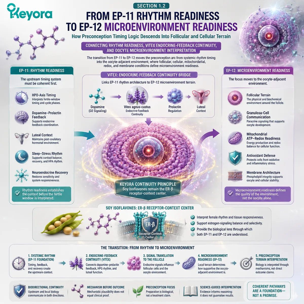 Preconception nutrition and fertility wellness mapped from HPO rhythm readiness to oocyte microenvironment support, integrating endocrine timing, follicular communication, and the Keyora Female Chrono-Nutrition framework. Preconception nutrition and fertility wellness mapped from HPO rhythm readiness to oocyte microenvironment support, integrating endocrine timing, follicular communication, and the Keyora Female Chrono-Nutrition framework.