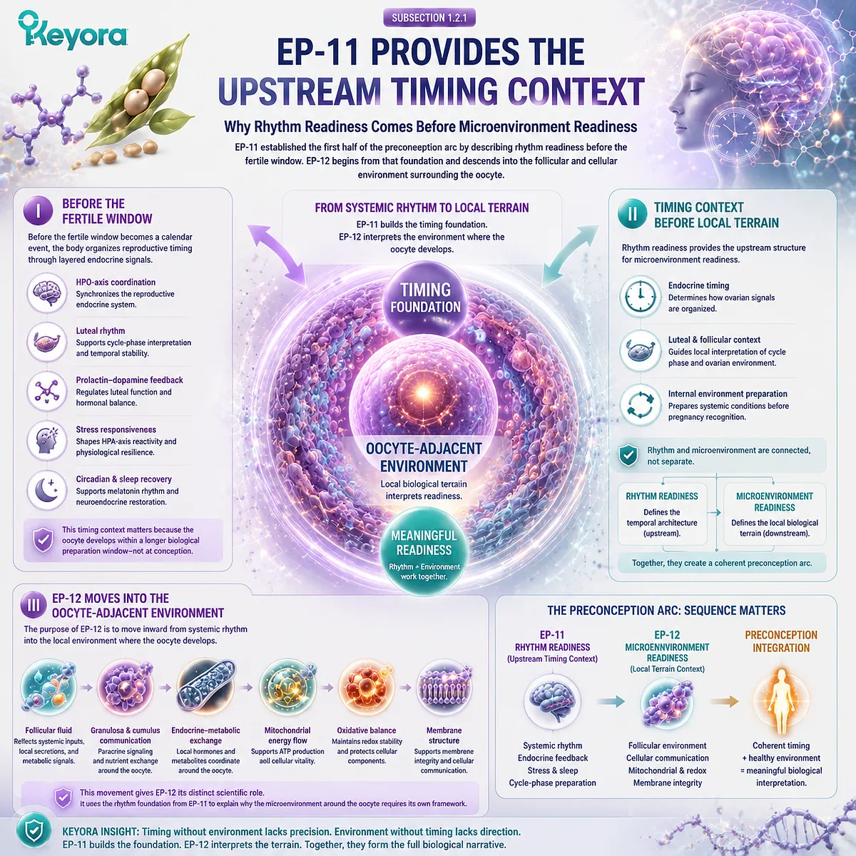 Preconception nutrition and fertility wellness mapped from HPO rhythm readiness to oocyte microenvironment support, integrating endocrine timing, follicular communication, and the Keyora Female Chrono-Nutrition framework. Preconception nutrition and fertility wellness mapped from HPO rhythm readiness to oocyte microenvironment support, integrating endocrine timing, follicular communication, and the Keyora Female Chrono-Nutrition framework.