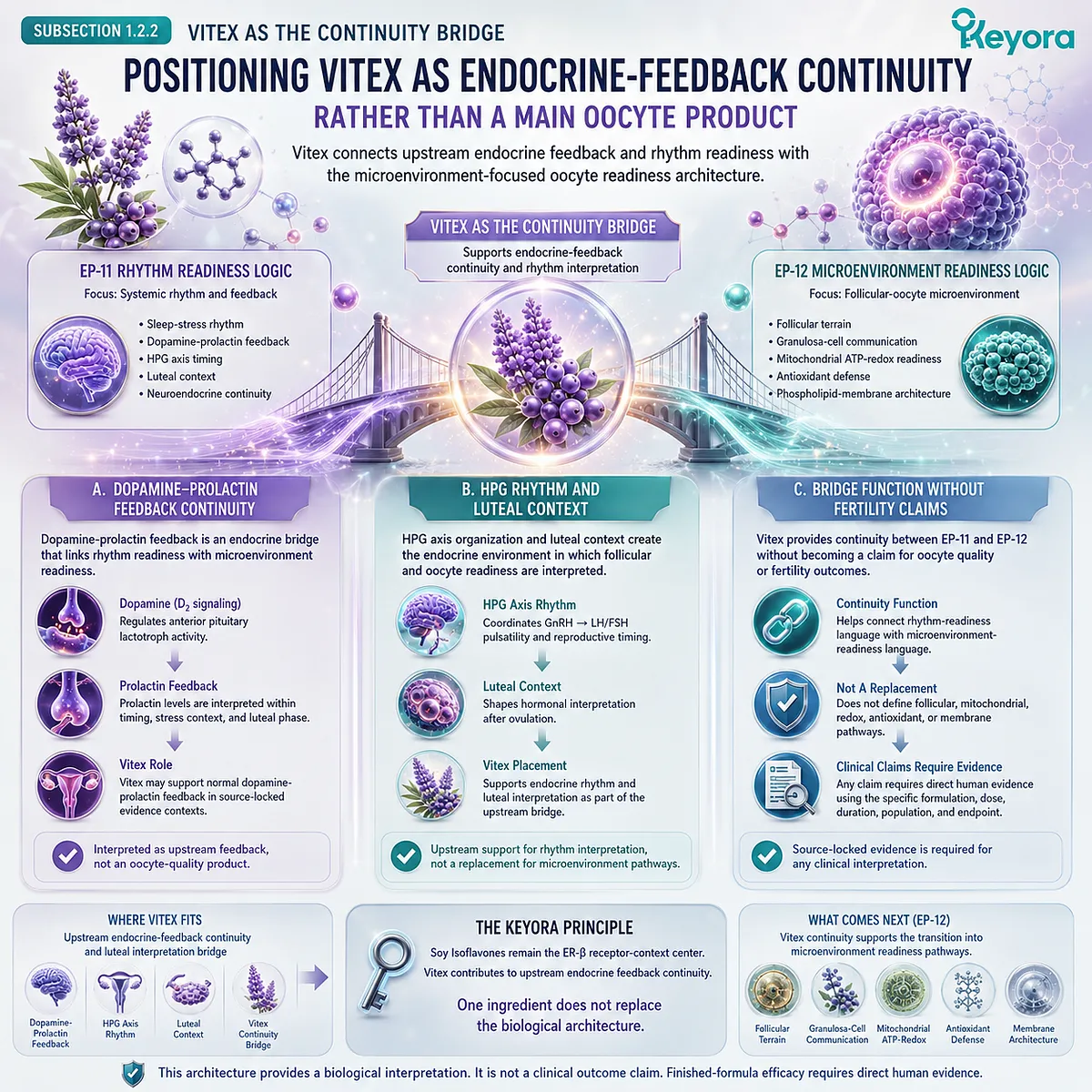 Preconception nutrition framework linking dopamine-prolactin feedback, HPG rhythm, luteal context, and endocrine continuity, positioning Vitex as a bridge within the Keyora Female Chrono-Nutrition framework. Preconception nutrition framework linking dopamine-prolactin feedback, HPG rhythm, luteal context, and endocrine continuity, positioning Vitex as a bridge within the Keyora Female Chrono-Nutrition framework.