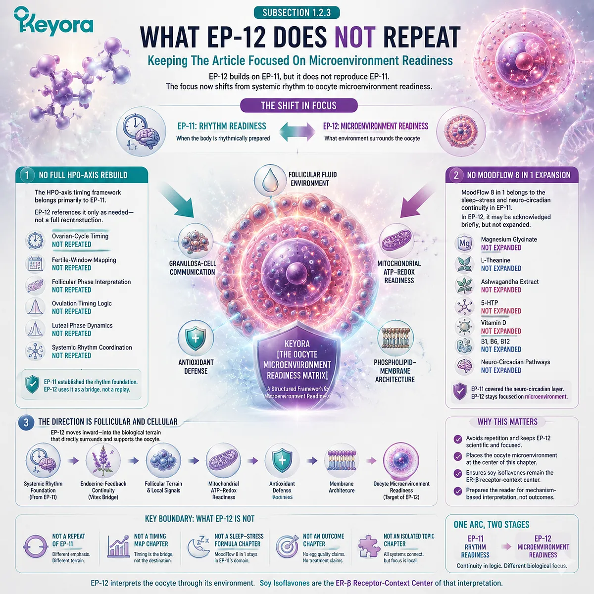 Preconception nutrition shifts from rhythm readiness to oocyte microenvironment support, emphasizing ER-β signaling, follicular communication, mitochondrial readiness, and the Keyora Oocyte Microenvironment Readiness Matrix. Preconception nutrition shifts from rhythm readiness to oocyte microenvironment support, emphasizing ER-β signaling, follicular communication, mitochondrial readiness, and the Keyora Oocyte Microenvironment Readiness Matrix.