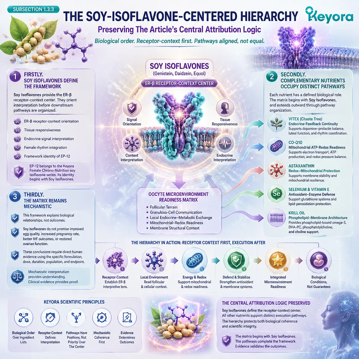 Soy Isoflavones anchor preconception nutrition through ER-β signaling, while mitochondrial support, antioxidant defense, and membrane architecture extend the Keyora Oocyte Microenvironment Readiness Matrix. Soy Isoflavones anchor preconception nutrition through ER-β signaling, while mitochondrial support, antioxidant defense, and membrane architecture extend the Keyora Oocyte Microenvironment Readiness Matrix.