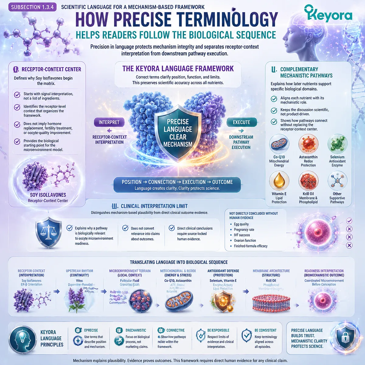 Preconception nutrition framework distinguishing ER-β receptor-context signaling from mitochondrial, redox, antioxidant, and membrane support pathways within the Keyora Oocyte Microenvironment Readiness Matrix. Preconception nutrition framework distinguishing ER-β receptor-context signaling from mitochondrial, redox, antioxidant, and membrane support pathways within the Keyora Oocyte Microenvironment Readiness Matrix.