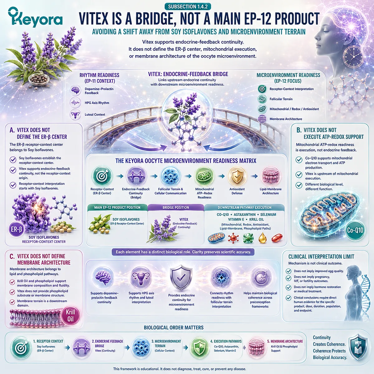 Preconception framework preserving Soy Isoflavones as the ER-β receptor-context center, with Vitex positioned as an upstream endocrine-feedback bridge linking rhythm readiness to oocyte microenvironment interpretation. Preconception framework preserving Soy Isoflavones as the ER-β receptor-context center, with Vitex positioned as an upstream endocrine-feedback bridge linking rhythm readiness to oocyte microenvironment interpretation.