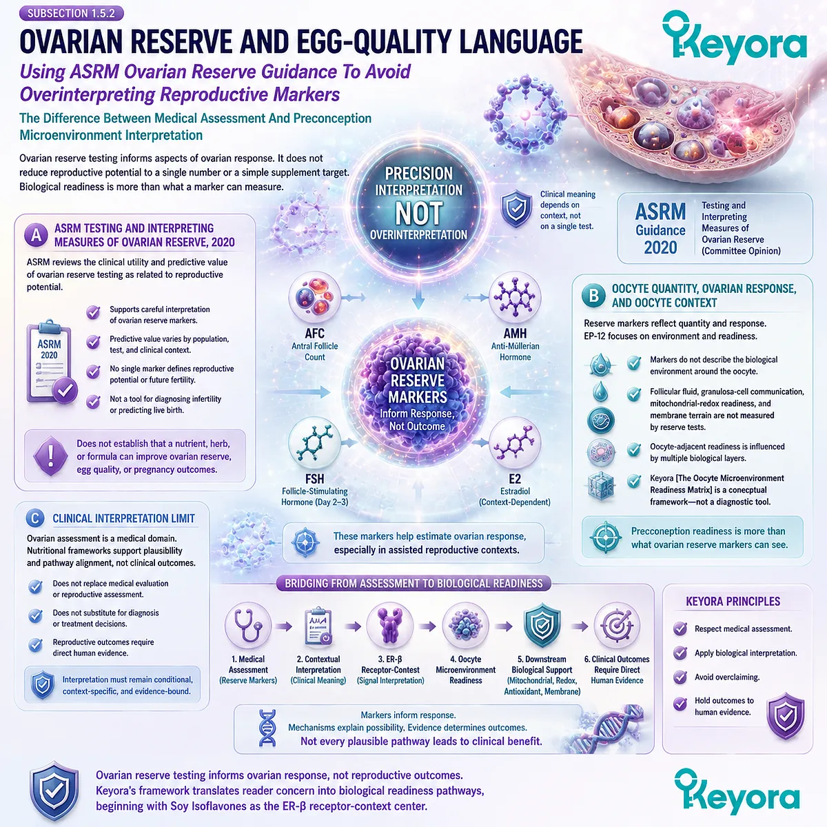 Ovarian reserve and egg-quality language interpreted through context-sensitive ER-β signaling, follicular terrain, and oocyte microenvironment readiness within the Keyora framework. Ovarian reserve and egg-quality language interpreted through context-sensitive ER-β signaling, follicular terrain, and oocyte microenvironment readiness within the Keyora framework.