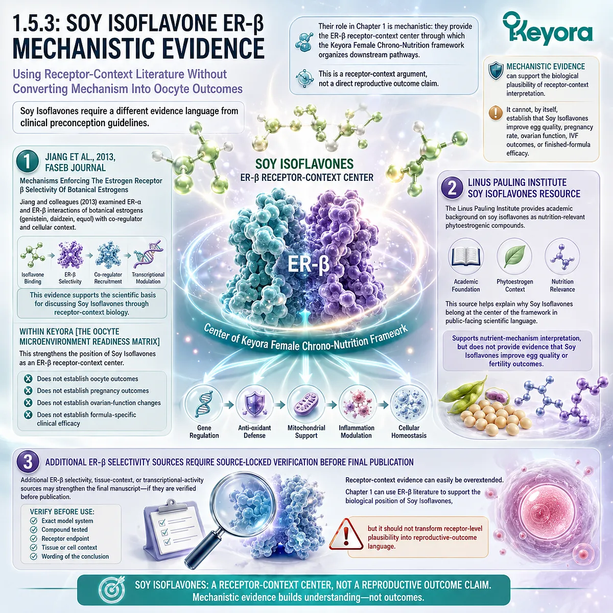 Soy Isoflavones mechanistically support ER-β receptor-context signaling, providing the upstream lens for oocyte microenvironment readiness without implying egg-quality or reproductive outcome claims in the Keyora framework. Soy Isoflavones mechanistically support ER-β receptor-context signaling, providing the upstream lens for oocyte microenvironment readiness without implying egg-quality or reproductive outcome claims in the Keyora framework.