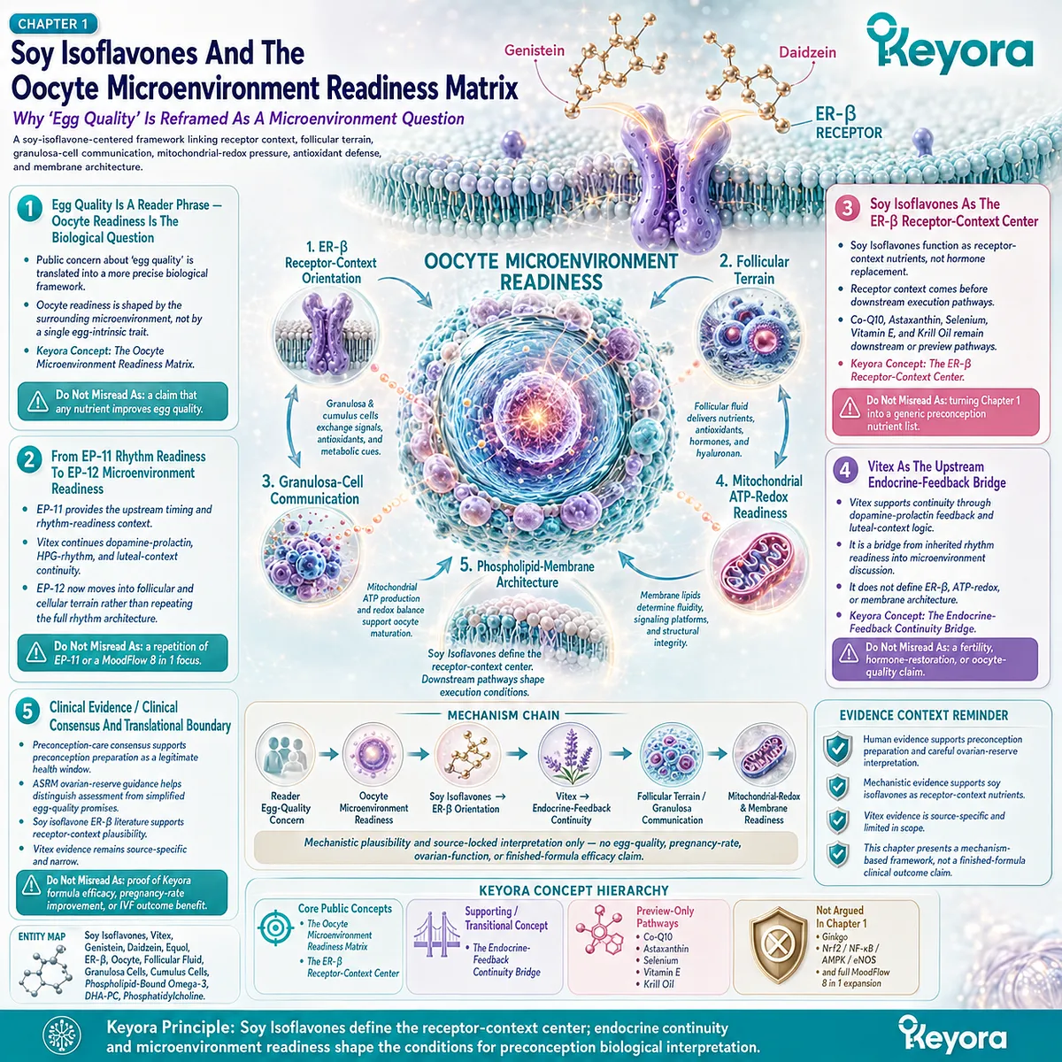 Egg quality and preconception nutrition reframed as oocyte microenvironment readiness, centering Soy Isoflavones, ER-β receptor context, Vitex endocrine continuity, and Keyora Female Chrono-Nutrition evidence boundaries. Egg quality and preconception nutrition reframed as oocyte microenvironment readiness, centering Soy Isoflavones, ER-β receptor context, Vitex endocrine continuity, and Keyora Female Chrono-Nutrition evidence boundaries.