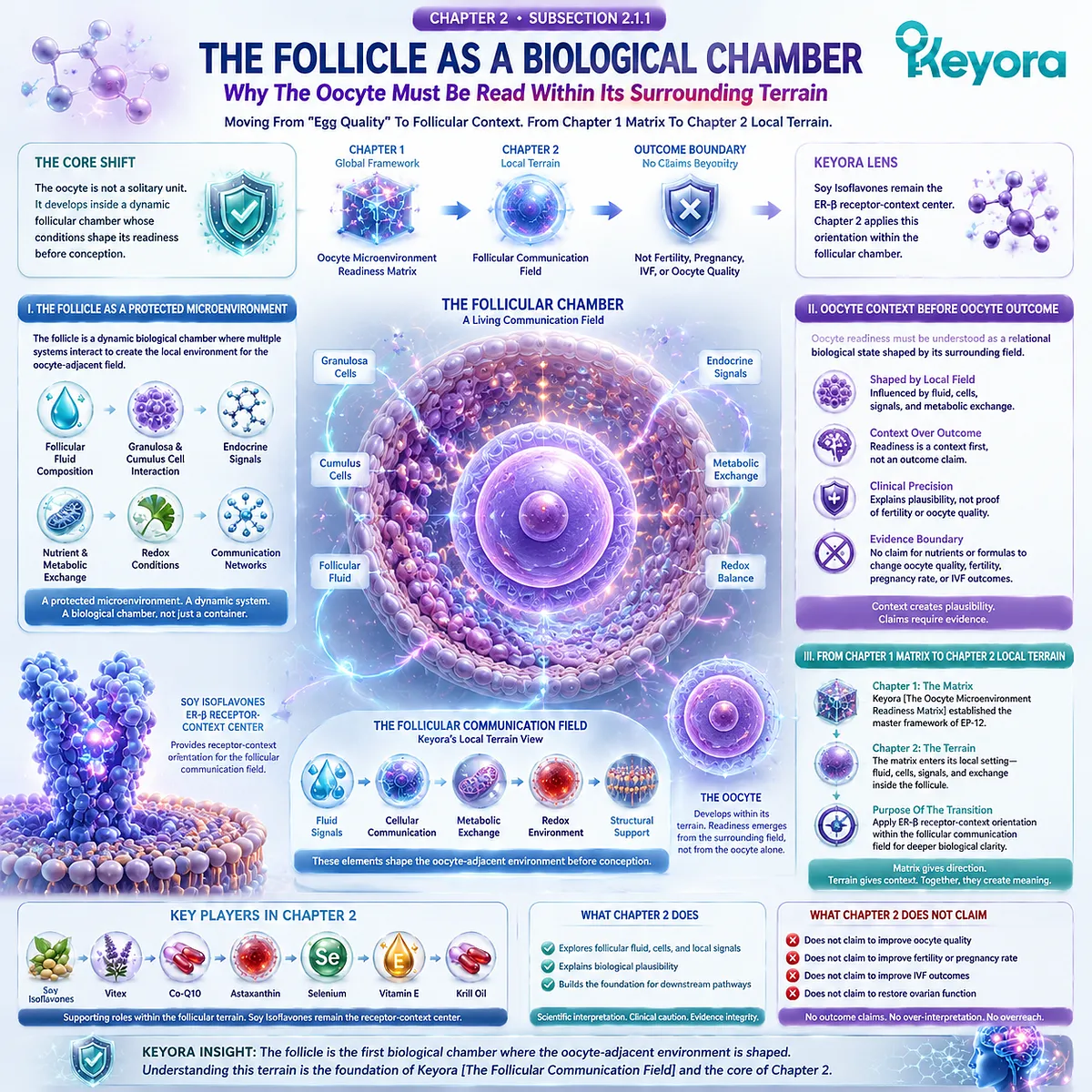 Soy isoflavones orient ER-β signaling within the follicular chamber, linking granulosa-cell interaction, cumulus communication, and metabolic exchange to shape oocyte-adjacent readiness in the Keyora Follicular Communication Field. Soy isoflavones orient ER-β signaling within the follicular chamber, linking granulosa-cell interaction, cumulus communication, and metabolic exchange to shape oocyte-adjacent readiness in the Keyora Follicular Communication Field.