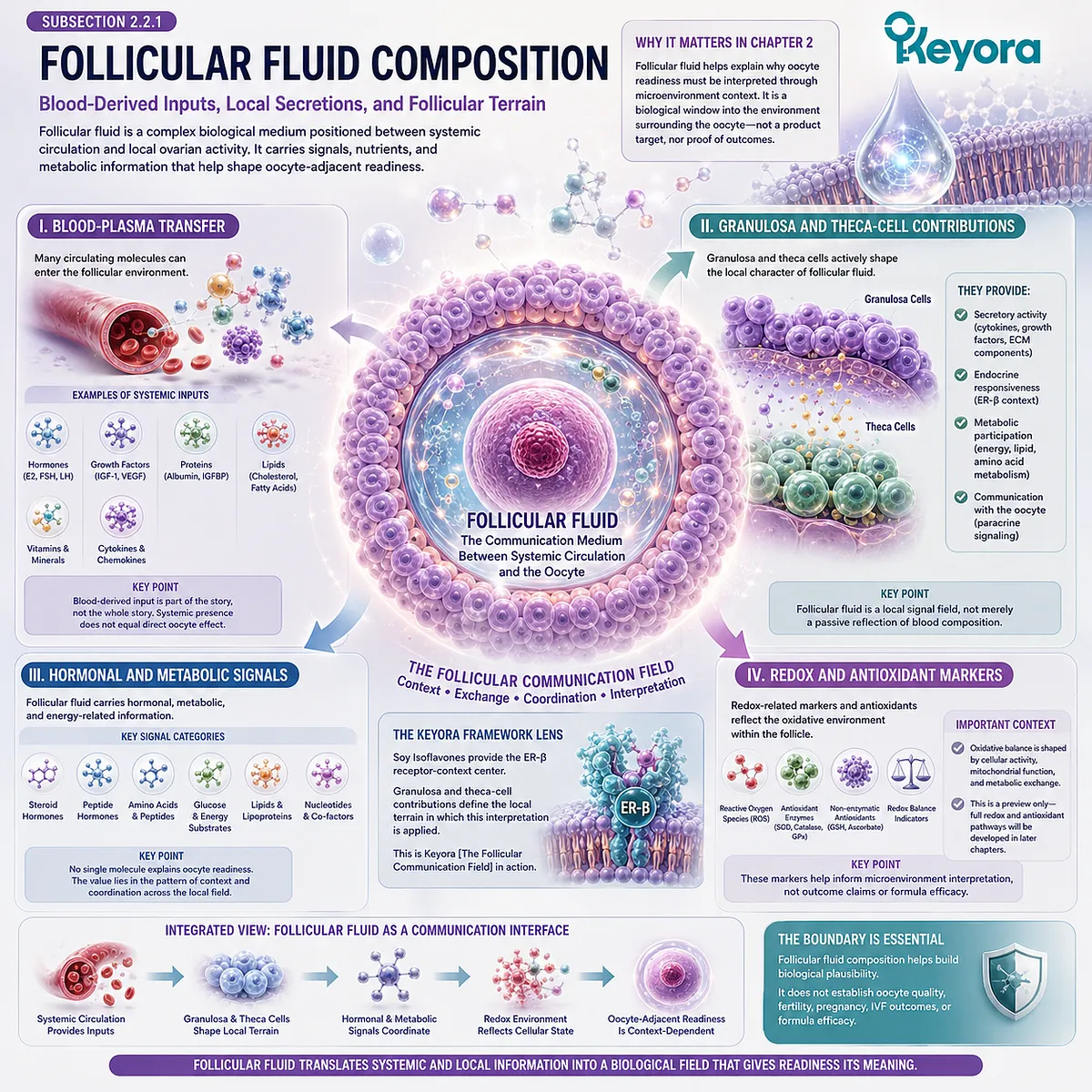 Soy isoflavones frame ovarian microenvironment readiness through ER-β signaling, follicular fluid composition, granulosa-cell activity, hormonal exchange, and redox balance within the Keyora Follicular Communication Field. Soy isoflavones frame ovarian microenvironment readiness through ER-β signaling, follicular fluid composition, granulosa-cell activity, hormonal exchange, and redox balance within the Keyora Follicular Communication Field.